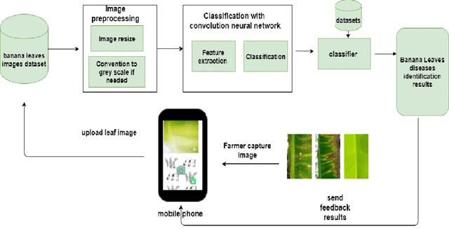 Figure 2 for Mobile-Based Deep Learning Models for Banana Diseases Detection