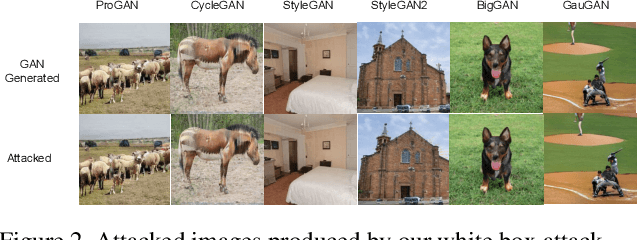 Figure 3 for Making GAN-Generated Images Difficult To Spot: A New Attack Against Synthetic Image Detectors