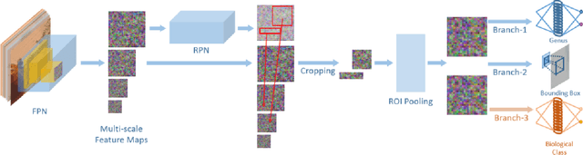 Figure 2 for Multi-Target Deep Learning for Algal Detection and Classification