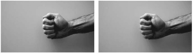 Figure 4 for A kernel Principal Component Analysis (kPCA) digest with a new backward mapping (pre-image reconstruction) strategy