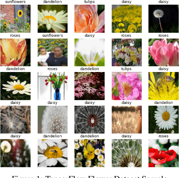 Figure 1 for Identical Image Retrieval using Deep Learning
