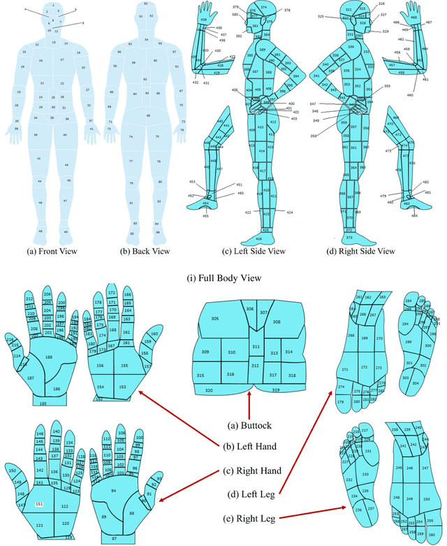 Figure 3 for Multi-modal Wound Classification using Wound Image and Location by Deep Neural Network