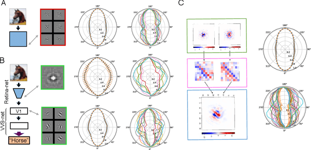 Figure 4 for A Unified Theory of Early Visual Representations from Retina to Cortex through Anatomically Constrained Deep CNNs