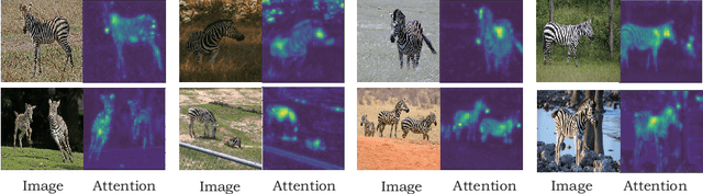 Figure 1 for Region-aware Knowledge Distillation for Efficient Image-to-Image Translation