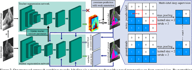 Figure 3 for Every Annotation Counts: Multi-label Deep Supervision for Medical Image Segmentation