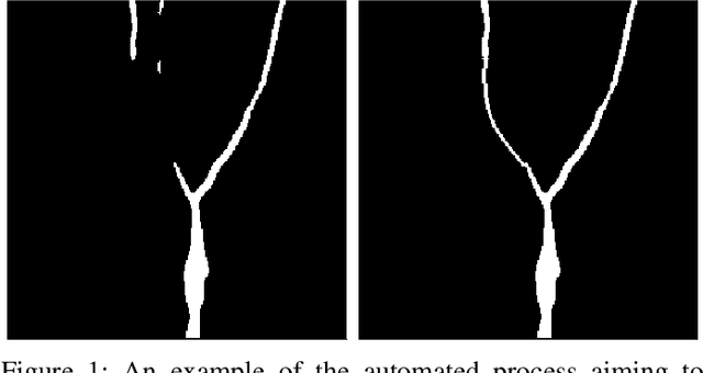 Figure 1 for Automated Iterative Training of Convolutional Neural Networks for Tree Skeleton Segmentation