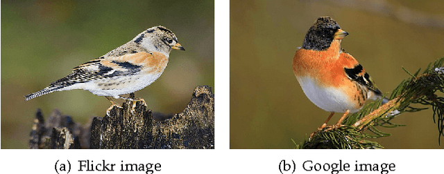 Figure 2 for WebVision Challenge: Visual Learning and Understanding With Web Data