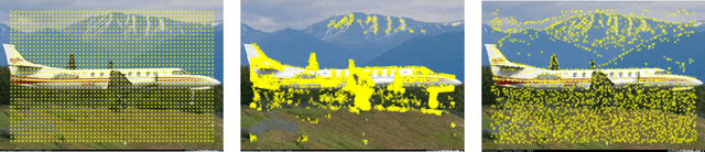 Figure 1 for A comparison of dense region detectors for image search and fine-grained classification