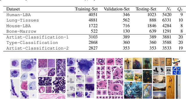 Figure 2 for On the Transferability of Winning Tickets in Non-Natural Image Datasets