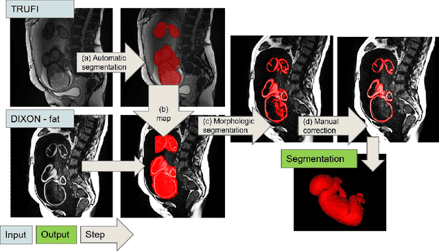 Figure 1 for Automatic fetal fat quantification from MRI