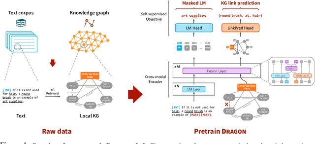 Figure 1 for Deep Bidirectional Language-Knowledge Graph Pretraining