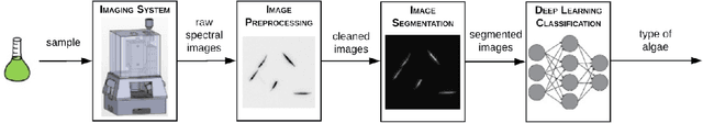 Figure 3 for Investigating the Automatic Classification of Algae Using Fusion of Spectral and Morphological Characteristics of Algae via Deep Residual Learning