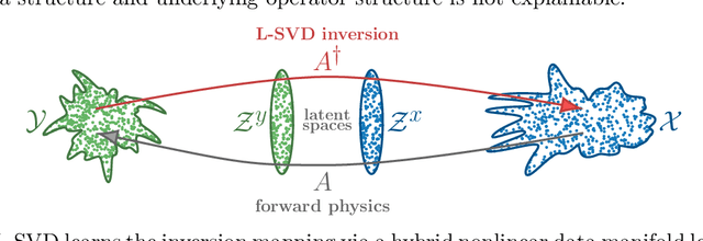 Figure 1 for Learned SVD: solving inverse problems via hybrid autoencoding