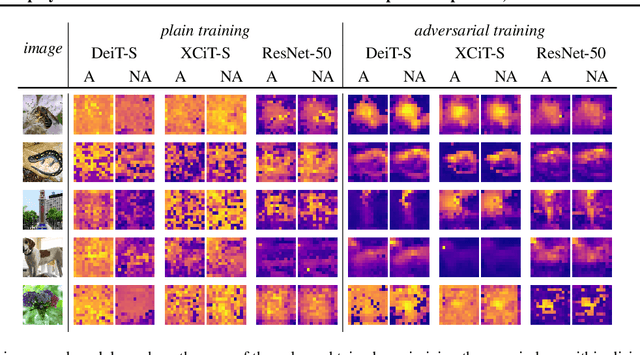 Figure 2 for On the interplay of adversarial robustness and architecture components: patches, convolution and attention