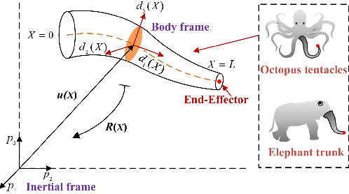 Figure 1 for Piecewise Linear Strain Cosserat Model for Soft Slender Manipulator