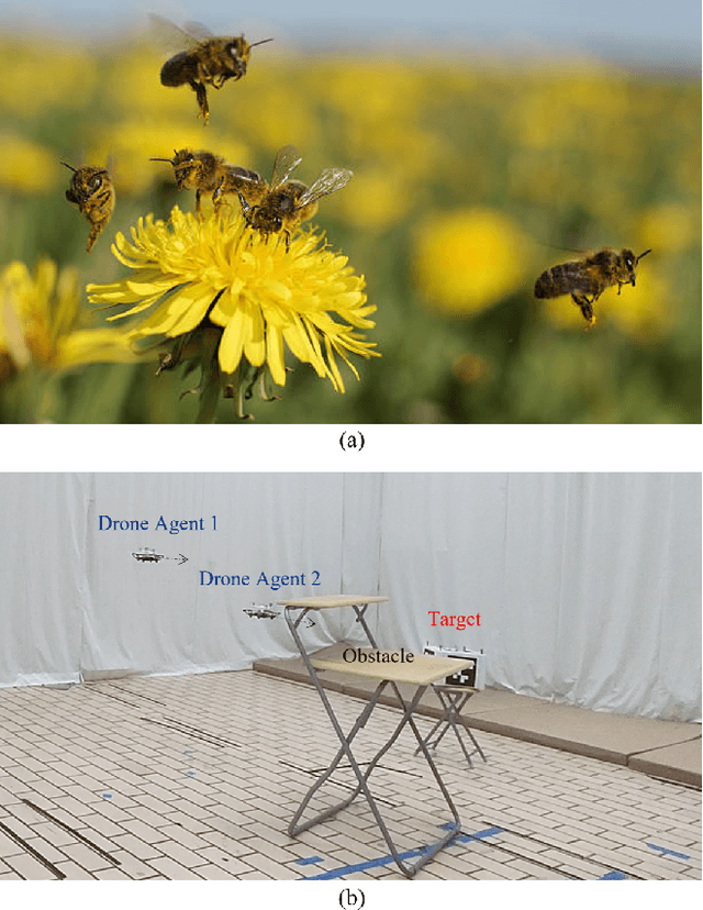 Figure 1 for Collaborative Target Search with a Visual Drone Swarm: An Adaptive Curriculum Embedded Multi-stage Reinforcement Learning Approach