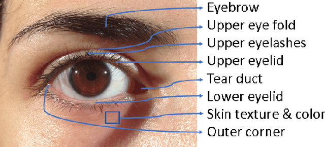 Figure 1 for Periocular Biometrics and its Relevance to Partially Masked Faces: A Survey