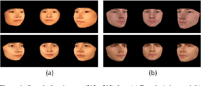 Figure 1 for Fast Face Image Synthesis with Minimal Training
