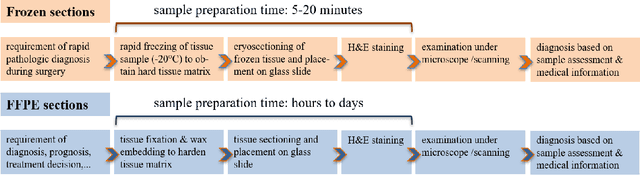 Figure 2 for CryoNuSeg: A Dataset for Nuclei Instance Segmentation of Cryosectioned H&E-Stained Histological Images