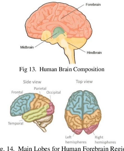 Figure 4 for A Survey and Tutorial of EEG-Based Brain Monitoring for Driver State Analysis