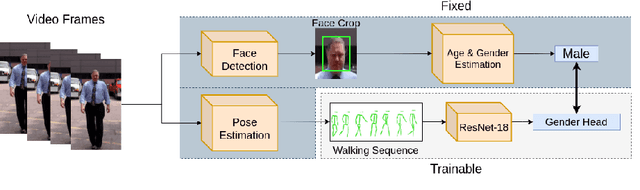 Figure 1 for From Face to Gait: Weakly-Supervised Learning of Gender Information from Walking Patterns