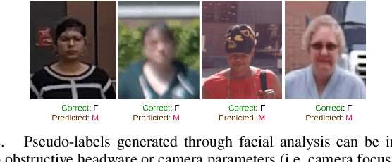 Figure 2 for From Face to Gait: Weakly-Supervised Learning of Gender Information from Walking Patterns