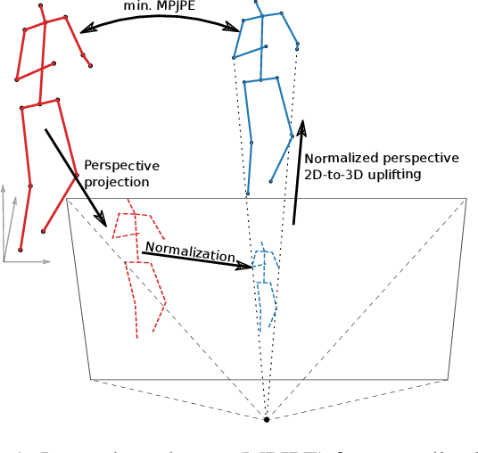 Figure 1 for Error Bounds of Projection Models in Weakly Supervised 3D Human Pose Estimation