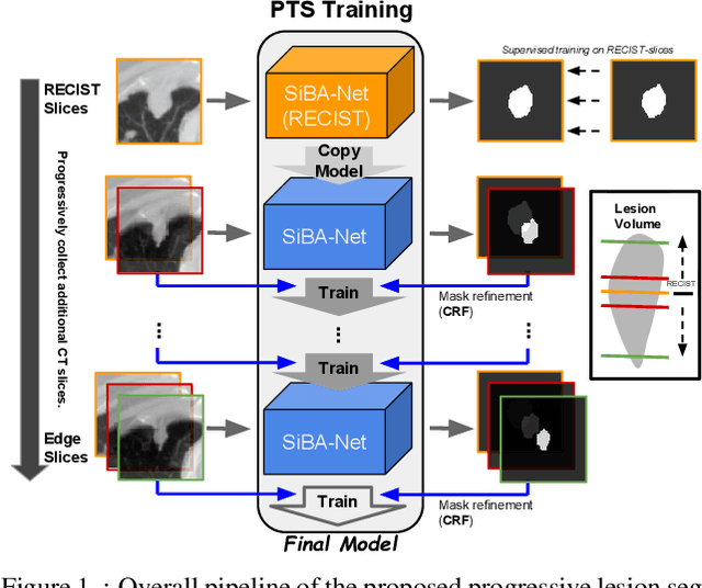 Figure 1 for A Progressively-trained Scale-invariant and Boundary-aware Deep Neural Network for the Automatic 3D Segmentation of Lung Lesions