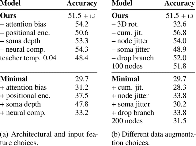 Figure 2 for Self-supervised Representation Learning of Neuronal Morphologies