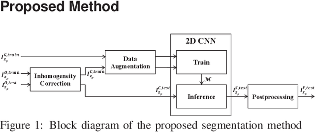 Figure 1 for Tubule segmentation of fluorescence microscopy images based on convolutional neural networks with inhomogeneity correction