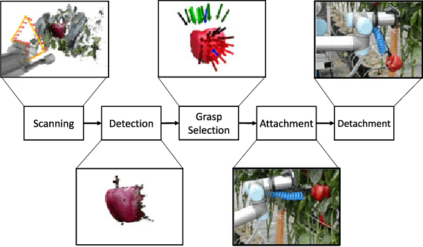 Figure 2 for Autonomous Sweet Pepper Harvesting for Protected Cropping Systems