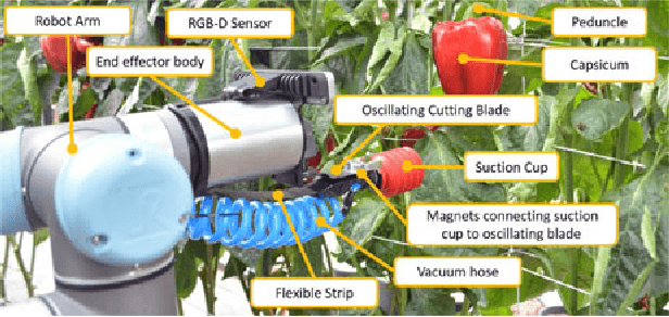 Figure 3 for Autonomous Sweet Pepper Harvesting for Protected Cropping Systems