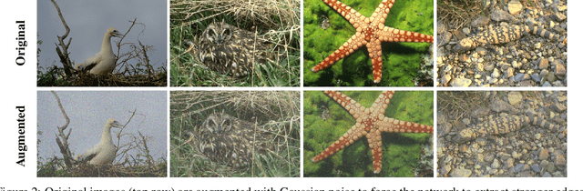 Figure 3 for RED-NET: A Recursive Encoder-Decoder Network for Edge Detection