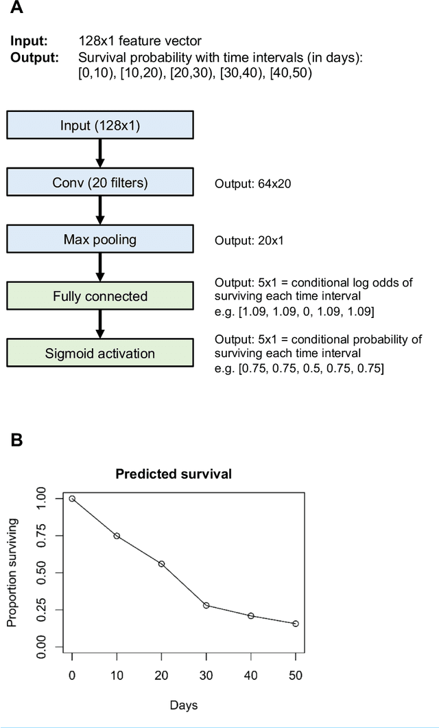 Figure 1 for A Simple Discrete-Time Survival Model for Neural Networks