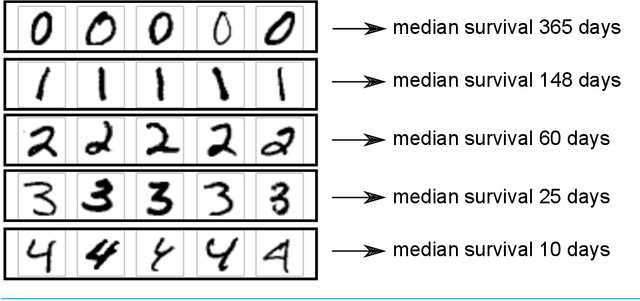 Figure 3 for A Simple Discrete-Time Survival Model for Neural Networks