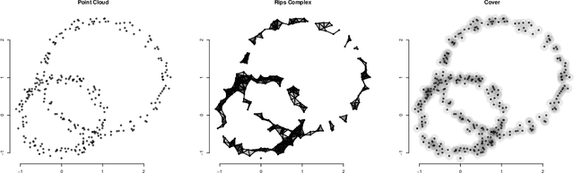 Figure 1 for Supervised Learning with Indefinite Topological Kernels