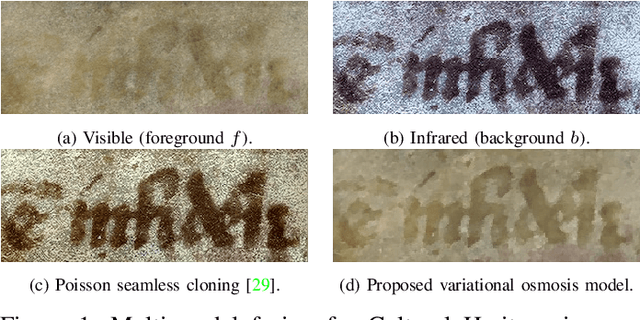 Figure 1 for Variational Osmosis for Non-linear Image Fusion