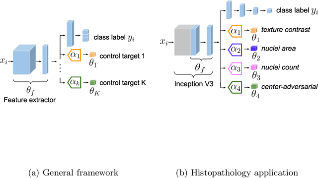 Figure 1 for Guiding CNNs towards Relevant Concepts by Multi-task and Adversarial Learning
