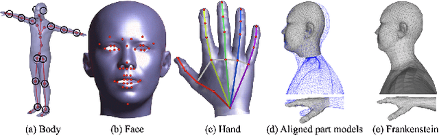 Figure 2 for Total Capture: A 3D Deformation Model for Tracking Faces, Hands, and Bodies