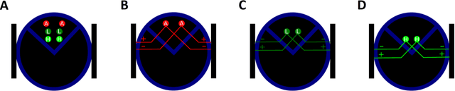 Figure 4 for Modeling the Formation of Social Conventions in Multi-Agent Populations
