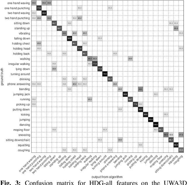Figure 3 for A Comparative Review of Recent Kinect-based Action Recognition Algorithms
