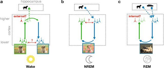 Figure 1 for Memory semantization through perturbed and adversarial dreaming