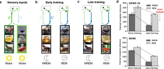 Figure 4 for Memory semantization through perturbed and adversarial dreaming