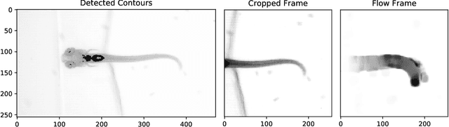 Figure 1 for Analysis of Video Feature Learning in Two-Stream CNNs on the Example of Zebrafish Swim Bout Classification