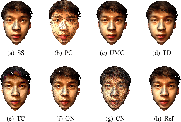 Figure 3 for Perceptual Quality Assessment for Digital Human Heads