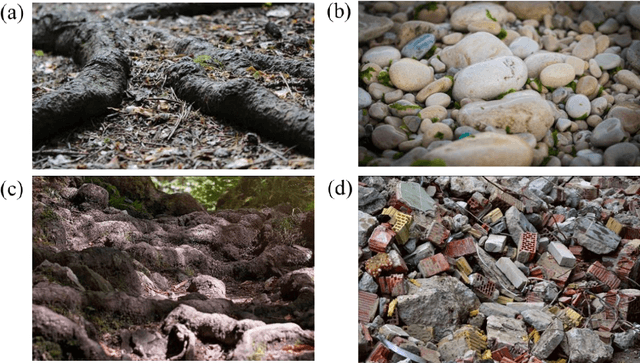 Figure 1 for Body-terrain interaction affects large bump traversal of insects and legged robots
