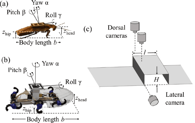 Figure 2 for Body-terrain interaction affects large bump traversal of insects and legged robots