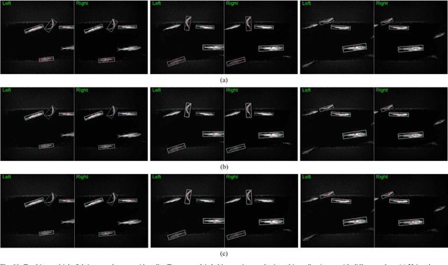 Figure 3 for Tracking Live Fish from Low-Contrast and Low-Frame-Rate Stereo Videos