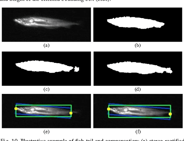 Figure 2 for Tracking Live Fish from Low-Contrast and Low-Frame-Rate Stereo Videos