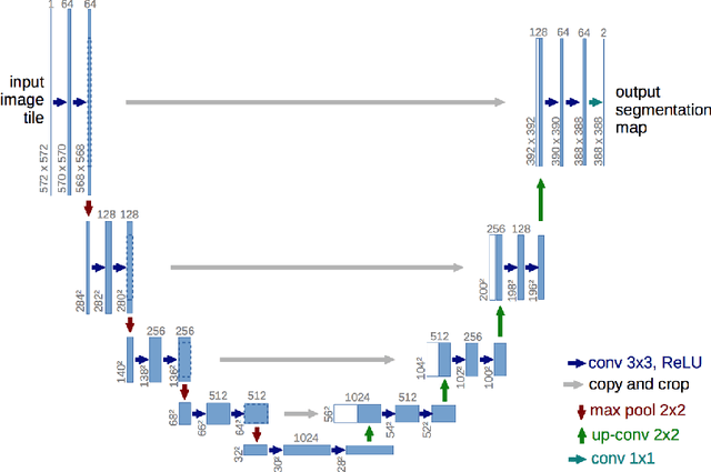Figure 1 for Bottleneck Supervised U-Net for Pixel-wise Liver and Tumor Segmentation